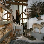 Museum Steinegg 