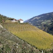 Passeiertal Riffian Herbst Obst Weinbau