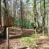 RS C hochseilgarten im altenburger wald kaltern