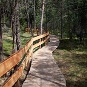 RS voelser weiher waldweg feuchtgebiet