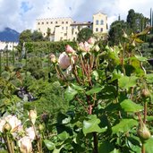 RS Botanische Gaerten von Trauttmansdorff Rose vor Schloss Trauttmansdorff