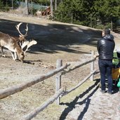 RS tierpark toblach