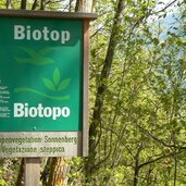 RS Tschars Schnalser Waalweg Biotop Steppenvegetation Sonnenberg