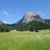 RS kameriotwiesen im altpragsertal altprags prags mit lungkofel