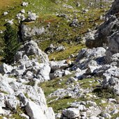 Santnerpass Klettersteig