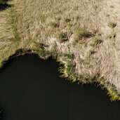 Voelser Weiher DJI