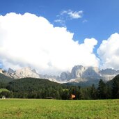 Weisslahnbad Wiese Landschaft Berg Frisch Wald