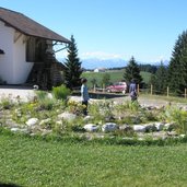 Kraeuterschnecke auf Petersberger Leger Alm RD P