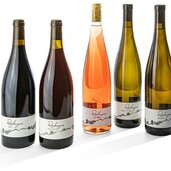 rielinger wein bildergalerie