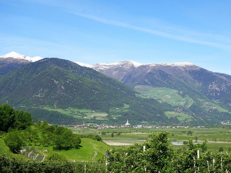 Cavalos Loiros Sorrir Prado Siusi Alpes Trentino Alto Adige Itália