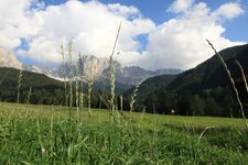 Weisslahnbad Wiese Landschaft Berg Frisch Wald