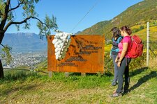 weinwanderweg rebe station weinbeeren