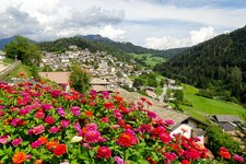 sicht auf truden blumen