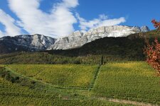 Penegal Oberplanitzing Herbst Winter