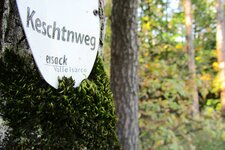 Keschtnweg Kastanienweg Ritten Schild