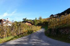 weg herbst bei signat ritten