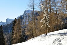 Ueberetscherhuette Blick durch Baeume auf Roen