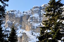 Ueberetscherhuette Blick durch Baeume auf Roen