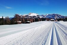 Seiser Alm Loipe Winterlandschaft