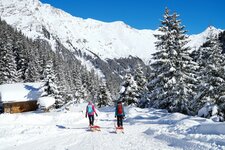 landschaft personen wandern schlitten rodel winter