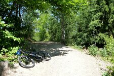 mountain bike montiggler wald