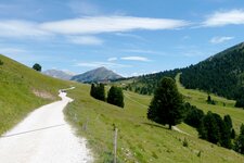 aldein forstweg gurndin alm jochgrimm