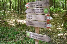 montiggler wald weg von rungg zu montiggler seen wegweiser