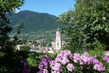 meran altstadt von tappeinerweg aus blumen