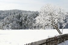 Wolfsgruben Wolfsgrubenersee Ritten