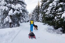 rodelbahn allriss