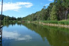 voelser weiher nordufer