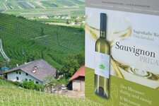 wein bei tscherms schild sauvignon