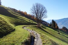 schenner waalweg oberhalb verdins herbstlandschaft