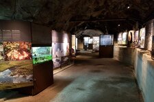 Bunker Mooseum Ausstellung