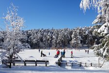 voelser weiher winter eislaufen