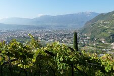 bozen gries vom keschtnweg aus