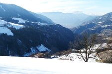 tierser tal winter