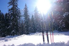 Langlaufen Toblach ski