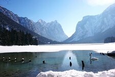 Langlaufen Toblach toblacher see
