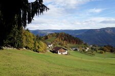 grissian wiesen herbst