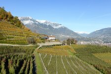 herbst weinberge suedlich von marling