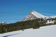 falzeben ifinger winter