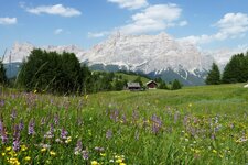 wiesen am weg zum piz sorega dahinter fanesgruppe