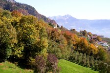 partschins vertigen wald herbst