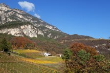 weinreben herbstlandschaft bei hofstatt kurtatsch