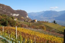 penon weinberge herbst blick richtung hofstatt und graun