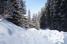 forstweg zur liegalm winter deutschnofen