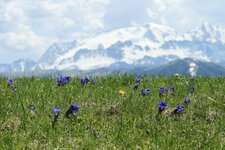 Naturpark Fanes Sennes Prags Alta Badia