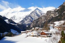 gomion winter