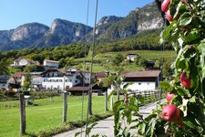 graun bei kurtatsch lochweg apfelbaum